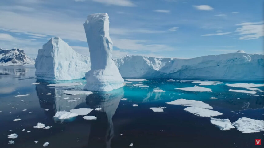 Chasseurs d'iceberg | documentaire | squarefish studio animation