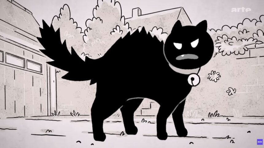 Putain de chat ! Fucking Cat ! | Arte TV series | Squarefish animation studio